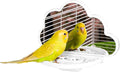 septillar Bird Mirror with Perch Stand, Bird Toys for Parakeet Cockatiel Conure Lovebirds Finch Canaries (White)