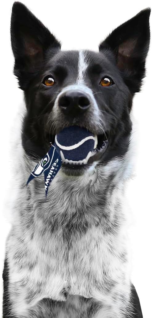 Littlearth NFL Pet Ball Launcher