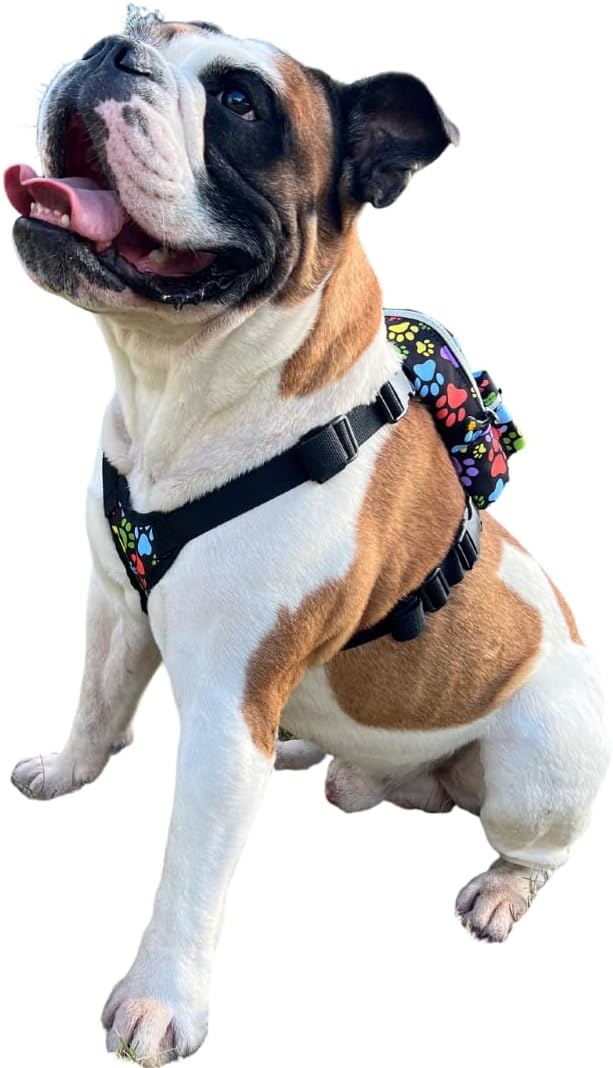 PawLook Dog Backpack to Wear with Chest Harness Self Carrier dogbag with Additional Pocket for Poop Bag Anti Slip Stylish Dog Bag for Your pet Street Smart Serie Pawsup Orange Small