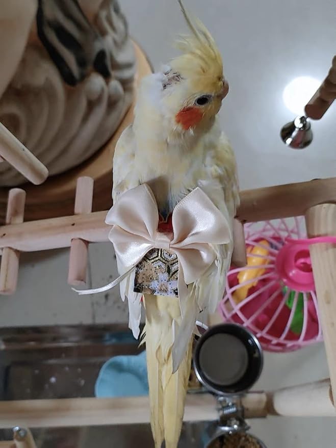 Bird Flight Suits Diapers, Parrot Diapers for Monk Parakeets, Cockatiels Flight Suits, Parrot Clothes, Bird Training Nappy Suit Liners Clothes (Medium, Light Pink)