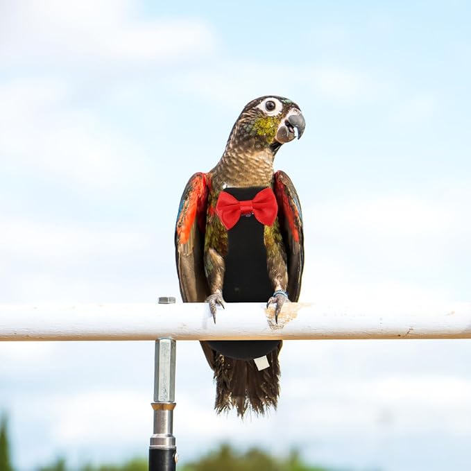 POPETPOP Flying Bird Harness Clothes - Reusable Nappies, Parrot Flight Suit, Washable Diaper, Cotton Pet Xuan Feng