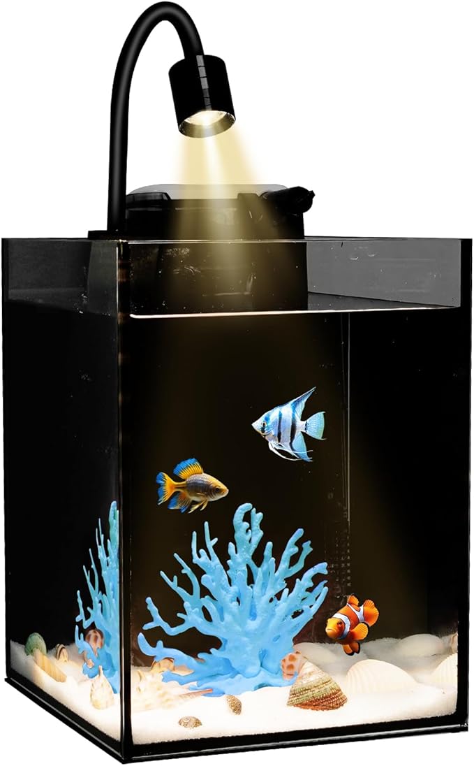 DIY Aquarium Masterpiece Kit - Create Your Own Unique Ocean Aquascape with Natural Shells, Vibrant Corals, RGB Color Lights, Filter, Pump and 1.2Gal Cube Rimless Tank