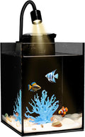 DIY Aquarium Masterpiece Kit - Create Your Own Unique Ocean Aquascape with Natural Shells, Vibrant Corals, RGB Color Lights, Filter, Pump and 1.2Gal Cube Rimless Tank