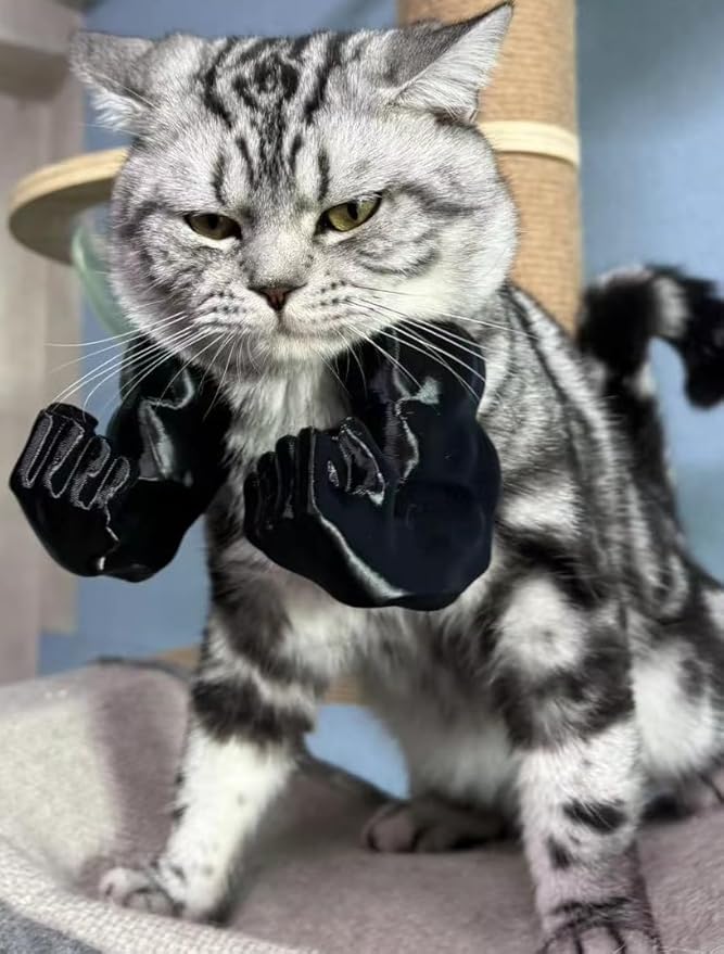 Creative Cat Muscle Arms, 3D Printed Cat Muscle Arm, Halloween Costume Accessory,Funny Muscle Arms for Cats,Cats with Muscular Arms for Kitten Birthday Party Supplies (Black)