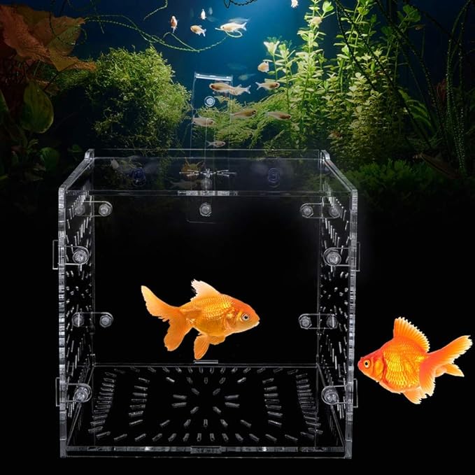 Fish Tank Breeding Box Aquarium Isolation Box Transparent Acrylic Fish Tank Incubation Box for Aggressive Injured Sick Fish Shrimp 15x15x15cm 30x15x15cm 20x20x20cm (15CM*15CM*15CM)