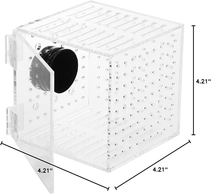 Toyvian 1pc Magnetic Fish Isolation Box Aquarium Breeding Case for Safe Fish Separation and Adaptation for Fry Easy to Install Tank