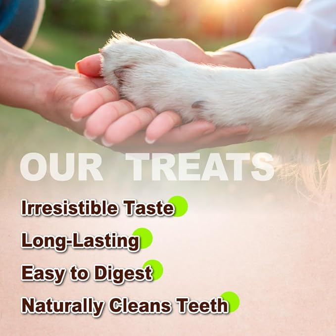 A Freschi srl Turkey Tendons for Dogs, USA-Sourced, Healthy Dog Treats, Rawhide-Free Puppy Chews, Long Lasting, All Natural, Hypoallergenic Dog Treats for Medium Breeds, 20 Count Box Pretzel (M)