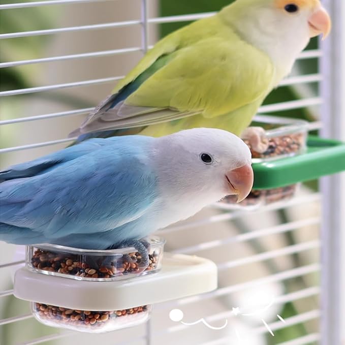 2 pcs Detachable Transparent Bowls with White Stand for Canary Finch Parrot Seed Water Feeder