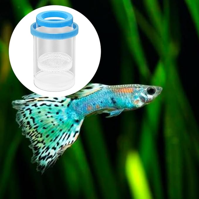 Floating Fish Breeding Isolation Box, Aquarium Breeder Round Spawning Box, Fine Mesh Clear Hatching Box, Aquarium Hatchery Accessory, Style A Blue