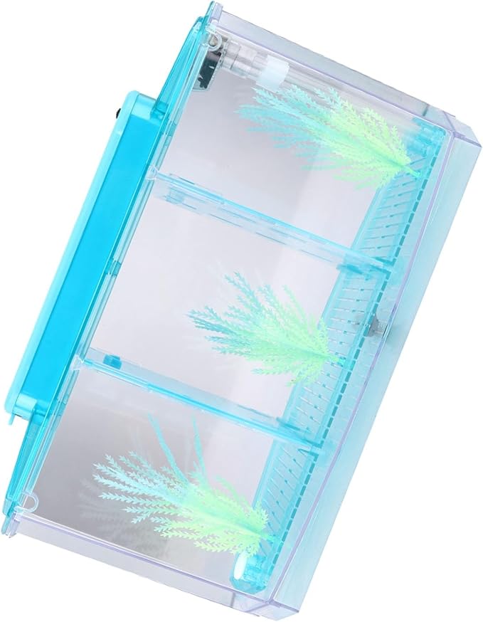 Fockety Breeding Fish Tank LED Acrylic, Three Divisions Isolation Box for Small Fishes with Artificial Grass, Water Change Valve and Filter Bubble Head with Activated Carbon (Blue)