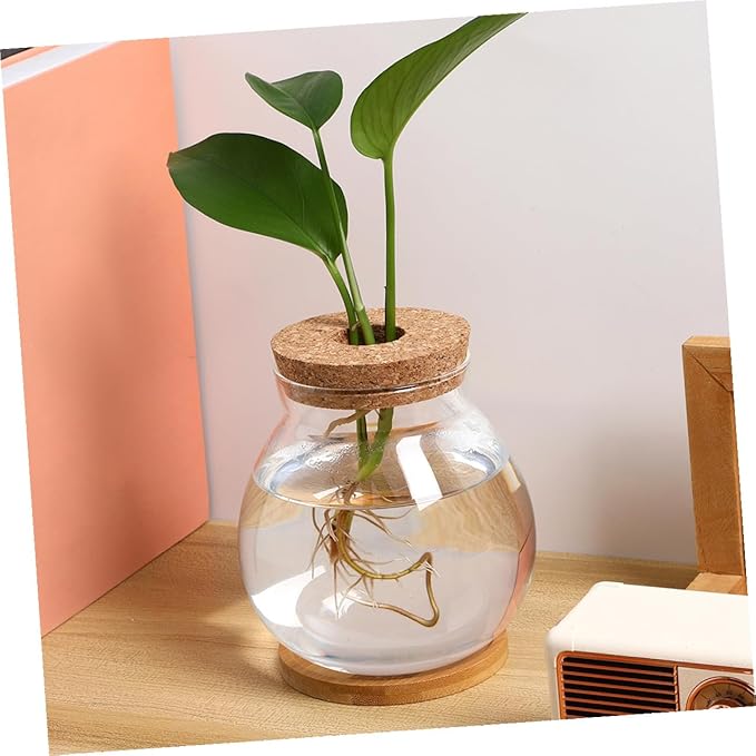 Small Hydroponic Glass Fish Tank with Lid, Mini Betta Fish Bowl 10x11cm with Mat for Desktop Aquarium Terrarium Decor