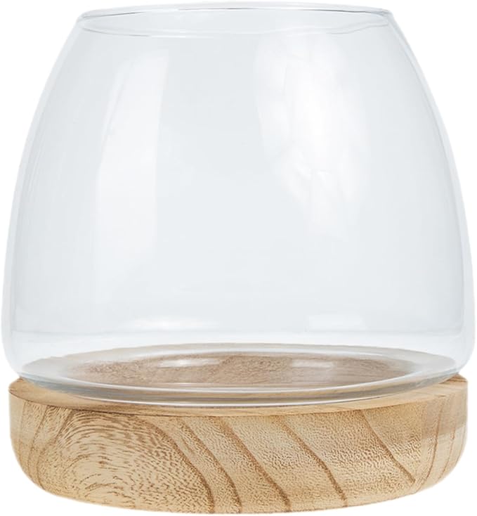 Sosoport 1set Decorative Glass Planter Wooden Base Unique Betta Fish Bowl Hydroponic Plants Container for Desktop Decor for Home Office Wedding Garden Settings