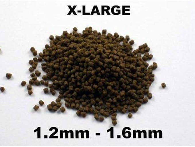 Bassleer Regular BioFish Food - Formulated for Optimal Fish Health (X-Lrg, 170g)