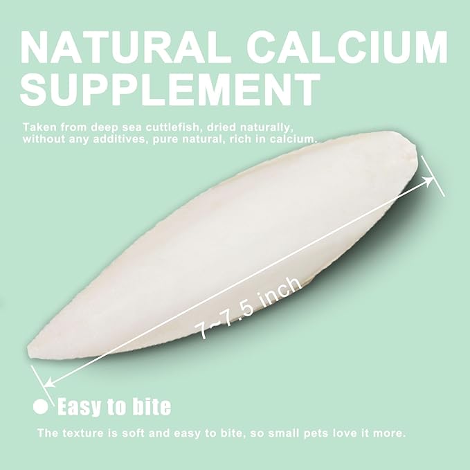 Cuttlebone for Birds Parakeets Canaries Cockatiels Small Conures Mynahs Toucans African Greys All Parrots Snails Totoise,Natural Cuttlefish Bone for Bird Cage (7"-7.5"(Pack of 6))