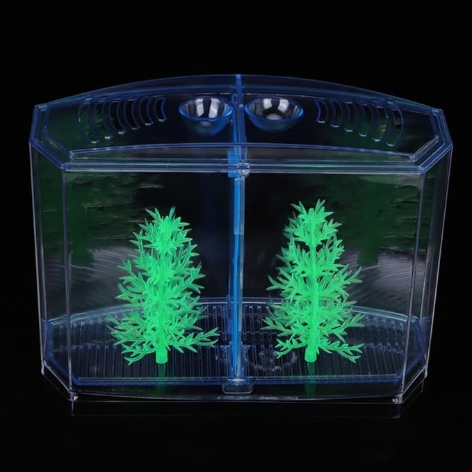 Mini Fish Breeding Box Acrylic Isolation Tank with Dirt Groove for Aquarium Fish Observation and Protection(Double)