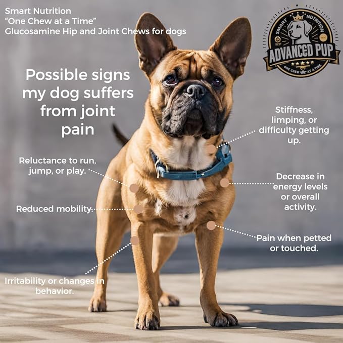 Hip and Joint Supplement - Natural Glucosamine Chondroitin MSM & Turmeric for Dogs - Dog Hip & Joint Care to Heal Dog Joint Stiffness & Inflammation - Tasty Bacon 90CT