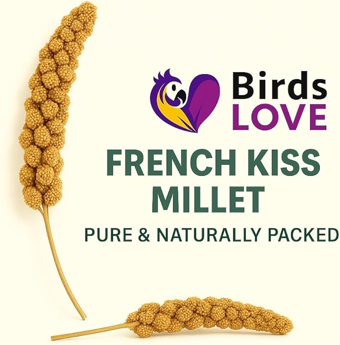 Birds LOVE 2lbs French Kissed Spray Millet for Birds – Harvested in France & Packed in The USA – 100% Natural & Sun‑Dried Millet Spray for Parakeets, Cockatiels, Conures, Parrots & Budgies