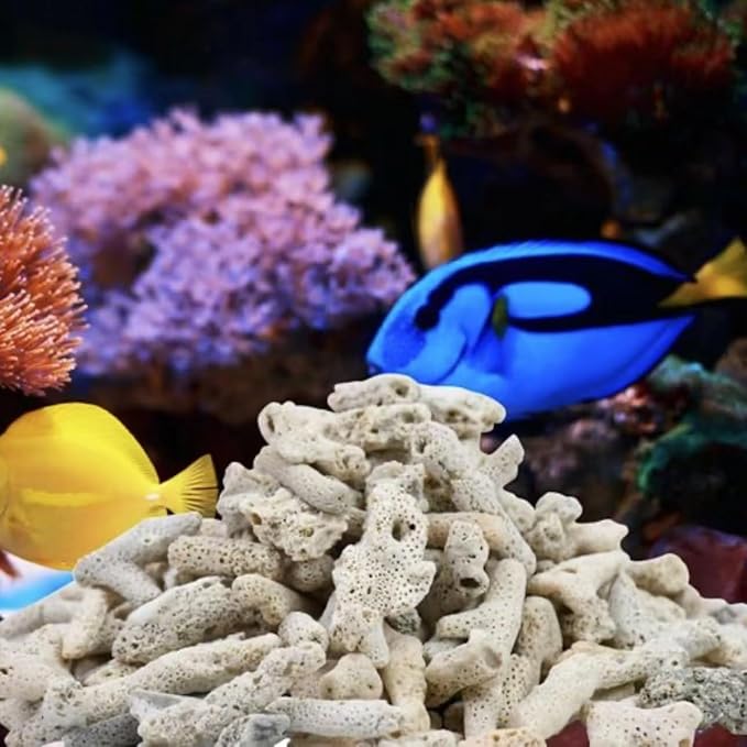 Crushed Coral Filter for Aquarium,Fish Tank Crushed Coral for Freshwater Aquarium Ph Aquarium Bio Filter Media Bag Reusable Aquarium Filter