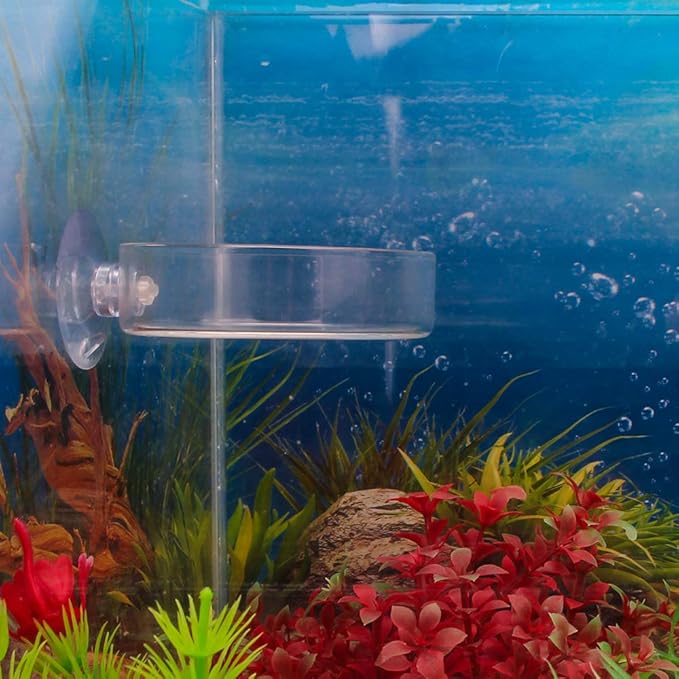 Senzeal 2PCS Shrimp Feeding Dish Glass Aquarium Fish Tank Reptiles Round Feeder Bowl with Suction Cup