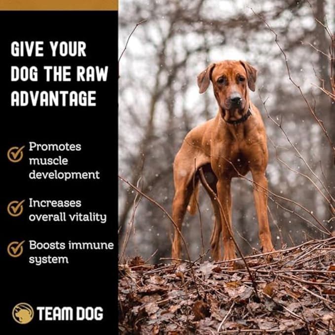 Team Dog Raw Frozen Dog Food | 65% Beef Muscle, Organ Meats, Herring & Green Tripe for Dogs | All Natural Grain Free Dog Food for Optimal Health, Digestion & Coat | 16 x 1lb Rolls