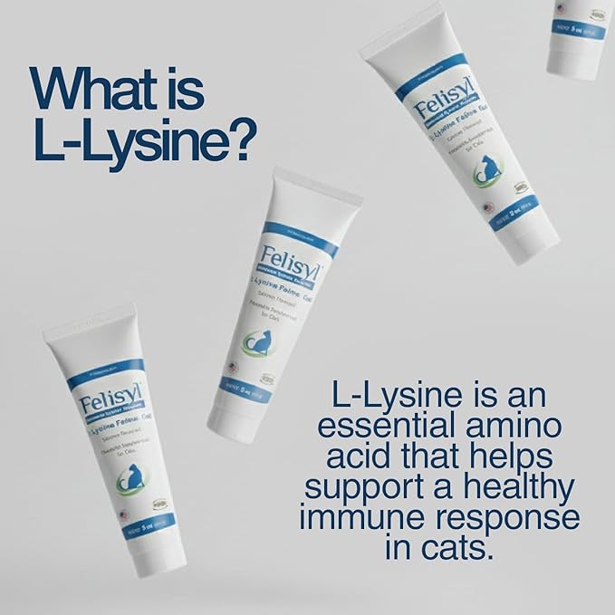 L-Lysine Gel for Cats & Kittens (5oz) – Immune System, Respiratory & Eye Health Support. Reduces Sneezing, Runny Nose & Watery Eyes. Daily Salmon-Flavor Supplement – Made in USA (6 Pack)