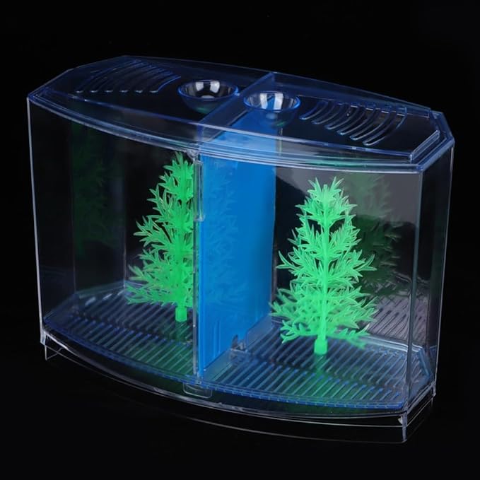 Mini Fish Breeding Box Acrylic Isolation Tank with Dirt Groove for Aquarium Fish Observation and Protection(Double)