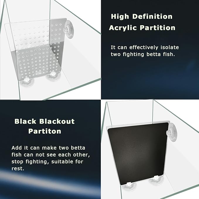 3 Gallon 12.6" L Fish Nano Glass Aquarium, with Separator Plate for Betta, Multi-Functional Square Fish Tank with Filter, LED Light, White 4mm Glass