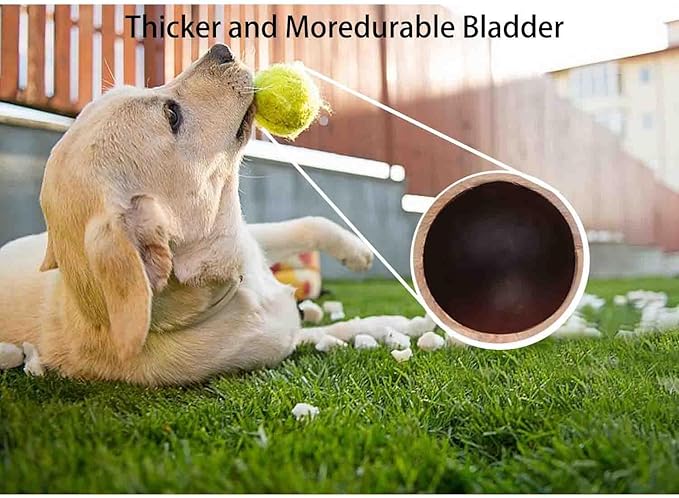 12 Packs 2-inch Mini Tennis Balls for Pet Playing Fecth, Dogs Training Tennis Balls for Small to Medium Size Dogs, Interactive Dog Playing Ball Fits 2 inch Dog Ball Launchers