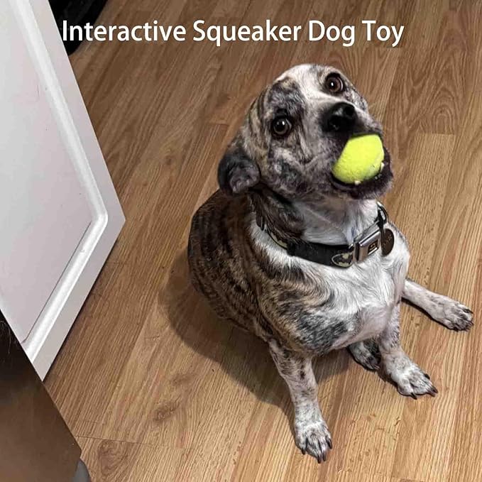 Tennis Balls for Dogs, 12 Packs 2-inch Interactive Mini Dog Balls Designed for Automatic Ball launchers and Small to Medium Dogs Indoor Outdoor Thrower Machine