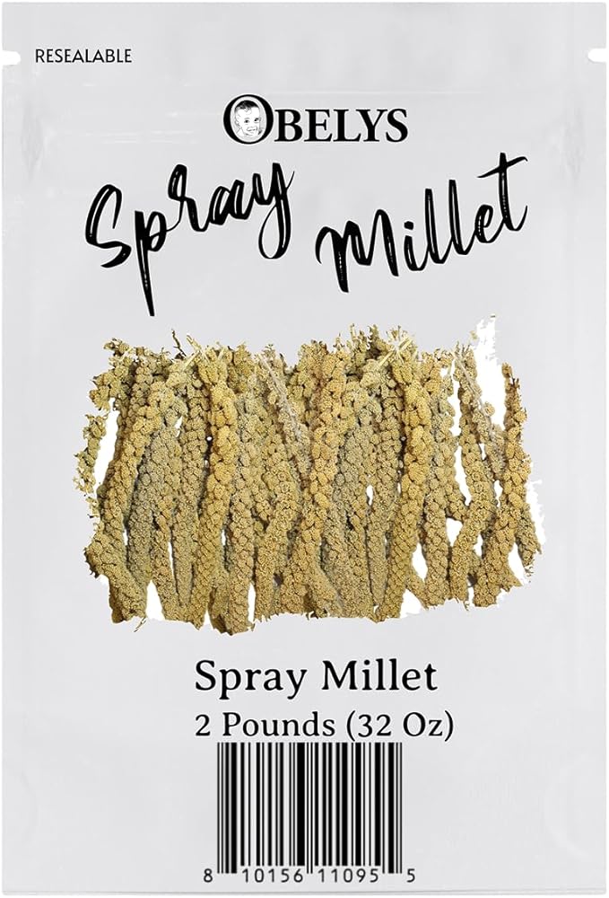 Natural Spray Millet 2lb (Only Edible Tops) Stemless- Non-GMO, Chemical-Free, Hand-Harvested Fresh Treat for Parakeets, Cockatiels, Finches, and Small Pets