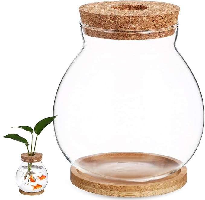 balacoo Betta Fish Bowl Glass Betta Tank with Cushion Hydroponic Plant Terrarium for Home Office Decoration Small Fish Tank for Aquatic Ecosystem