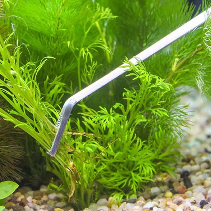 4 Pcs Stainless Steel Aquarium Kit Long Tweezers Scissors Fish Tank Cleaning Tweezers Aquatic Plant Scissors Aquascaping Tools