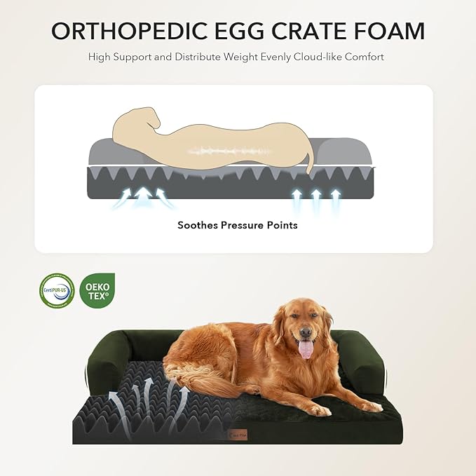 Orthopedic Dog Beds for Large Sized Dogs, Waterproof Egg Crate Foam Medium Dog Couch Beds for Crate 35x22Inch, Washable Pet Beds with Removable Cover and Nonskid Bottom, Olive Green