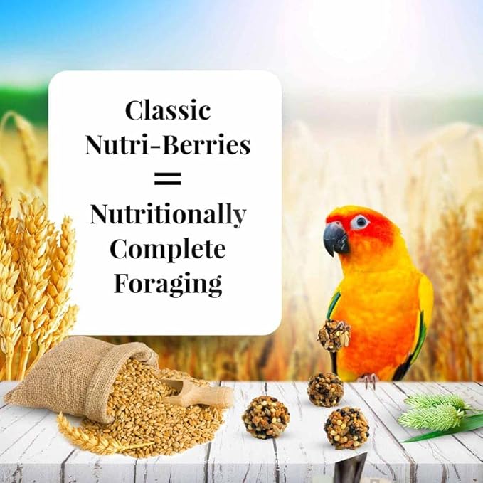 LAFEBER'S Classic Nutri-Berries Conure Food, Made with Non-GMO and Human-Grade Ingredients, for Conures (Classic 10 oz Pack of 2)