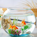 Plastic DIY Fish Bowls - 640oz Round Clear Fish Tanks 5 Gallon Aquarium, Hydroponic Planter, and Multi-Use Container for Flower Vase, Carnival Prizes, Party Centerpieces, and Home Decor
