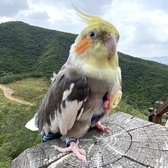 WAYUTO Pet Bird Diapers Cute Sun Flower Parrot Flight Suit with Elastic Strap Harness Equippable Washable Liners Cockatiel Clothes Nappy Light Weight Warm for Small Birds Cosplay Photo Prop