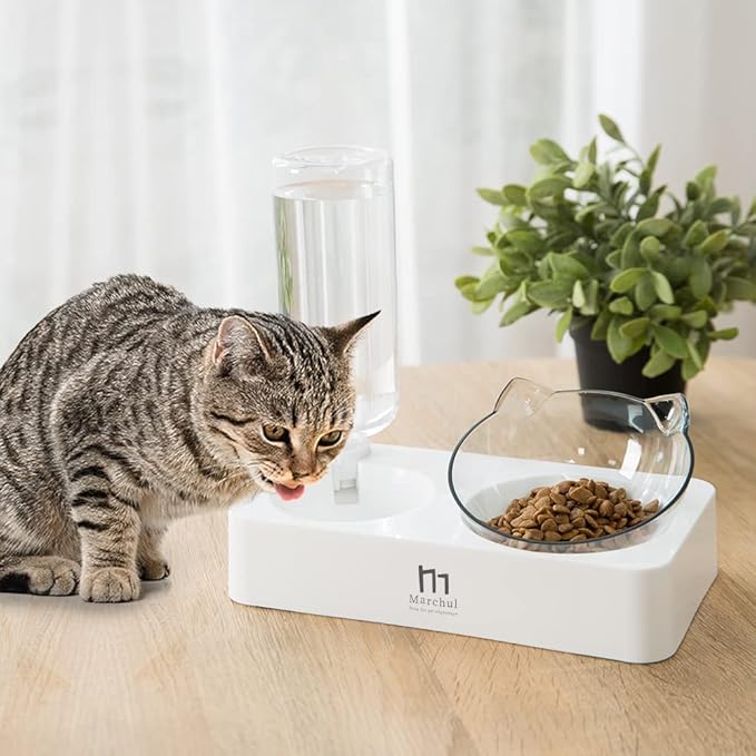 Marchul Tilted Cat Food Bowl with Feeding Mat for Food and Water, Food Feeding Dishes for Raised Cats and Puppies