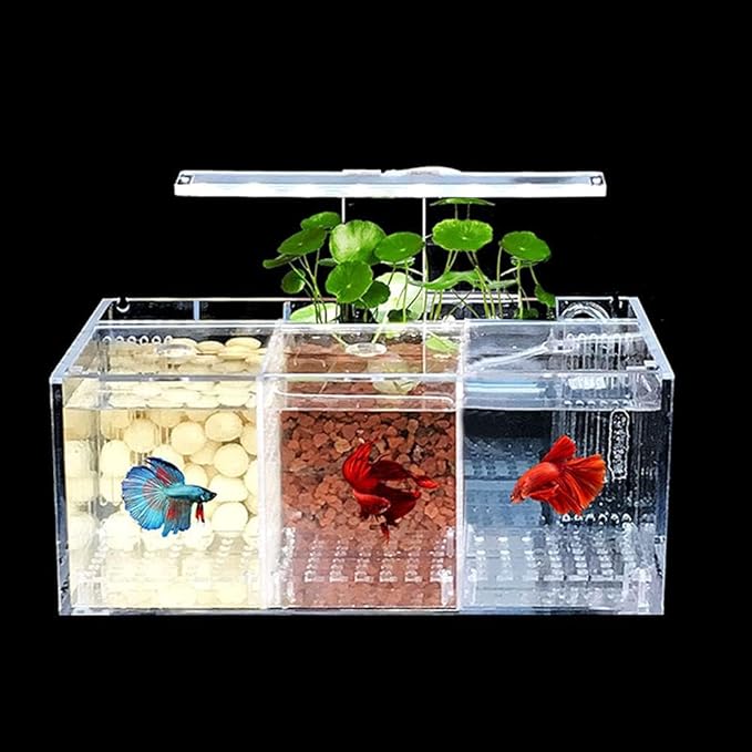 Acrylic LED Aquarium, Professional Betta Fish Tank, Transparent Aquarium Starter Kits, Ultra Clear Acrylic Fish Bowl, Rimless Desktop Betta Fish Tank,3 Room
