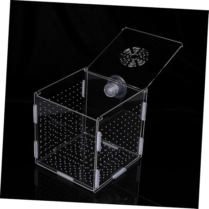 Modern Fish Tank Isolation Box Acrylic Fish Breeding Tank for Betta Guppy Suction Cups and Divider