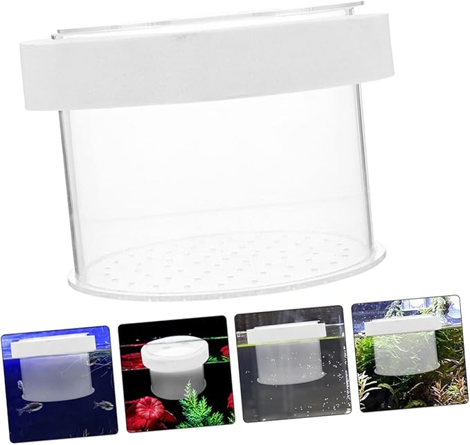 Acrylic Fish Isolation Box for Shrimp and Fry Breeding Separator Tank for Freshwater and Aquariums Easy to Observe and Install Breeding Container