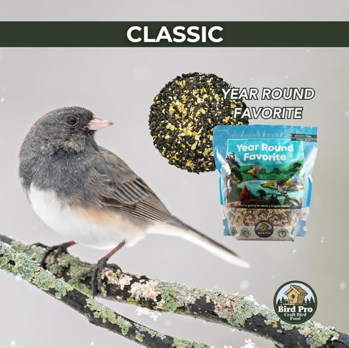 Classic Bird Seed (18 Pounds, Year Round Favorite)