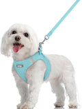 rabbitgoo Dog Harness Small Sized and Leash Set, Step in Soft Light Puppy Vest, Breathable Mesh Pet Harness, Reflective for Safe Easy Walking, Mint Blue M