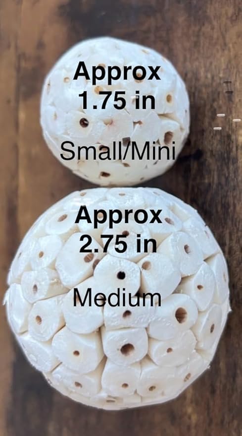 Triple Stack Natural Sola Ball Hanging Chew Toy for Small Birds - Set of Two