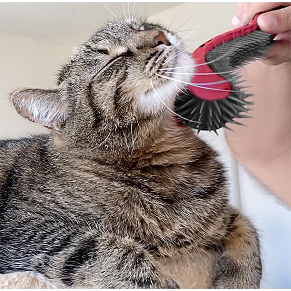 Cat Brush, Black. Designed for Comfort, Created for Cats and Dogs. Ergonomic shape promotes stress free grooming. Great for long to short haired cats. Made in the USA