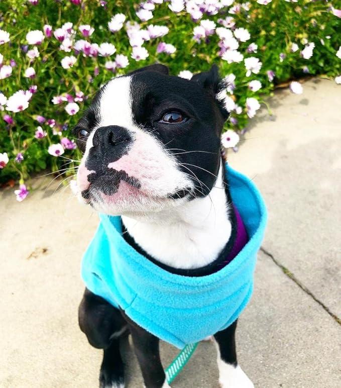 Gooby Stretch Fleece Vest Dog Sweater - Mint, X-Large - Warm Pullover Super Stretchy Fleece Dog Jacket for Small to Large Dogs