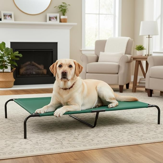 Amazon Basics Cooling Breathable Elevated Dog Bed with Durable Metal Frame, for Large Dogs, X-Large, 60 x 37 x 9 Inch, Green