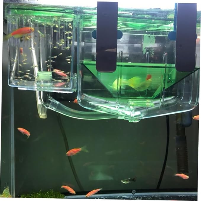 balacoo 2pcs Self-Guided Fish Breeding Tank Isolated Hatching Box for Aquarium Transparent Case for Protecting Juvenile Fish Eggs Safe Breeding Environment for Home Use