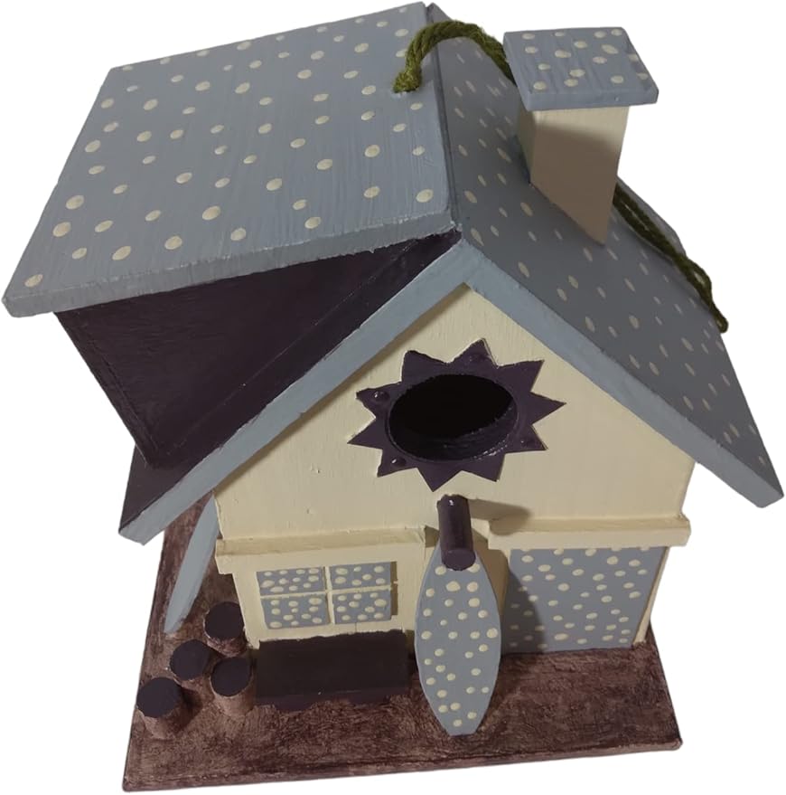 unique birdhouse hand painted outdoor