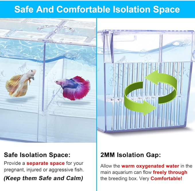 Fish Breeding Box Aquarium Holding Tank Transparent Fish Isolation Box Acclimation Hatchery Incubator Breeder for Betta Shrimp Clownfish Guppy