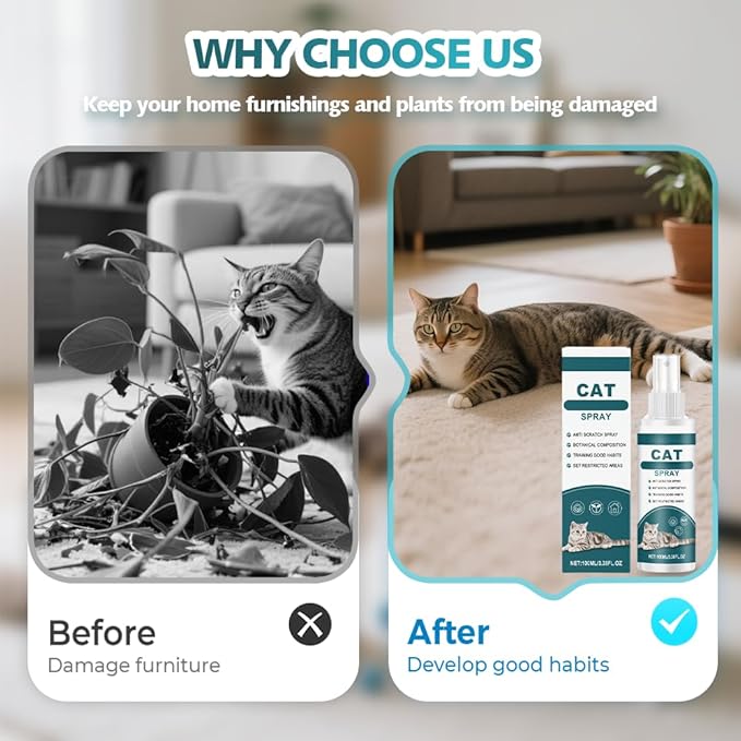 Effective Cat Deterrent Spray, Natural Cat Repellent Indoor Outdoor, Safe Cats Scratch Deterrent for Furniture, Cats Spray Deterrents for Urine Marking in House, 3.38 FL Oz (1)